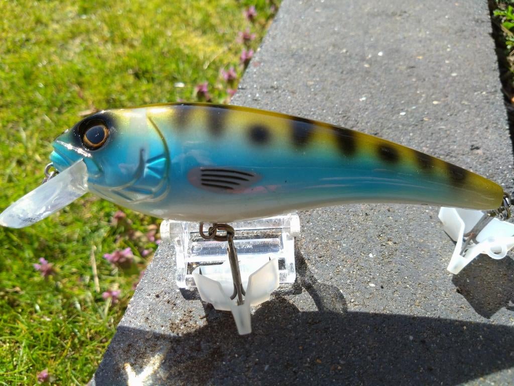 Westin Rawbite 15cm Sodergosen - Custom Zweedse Kleur, Ophalen of Verzenden, Nieuw