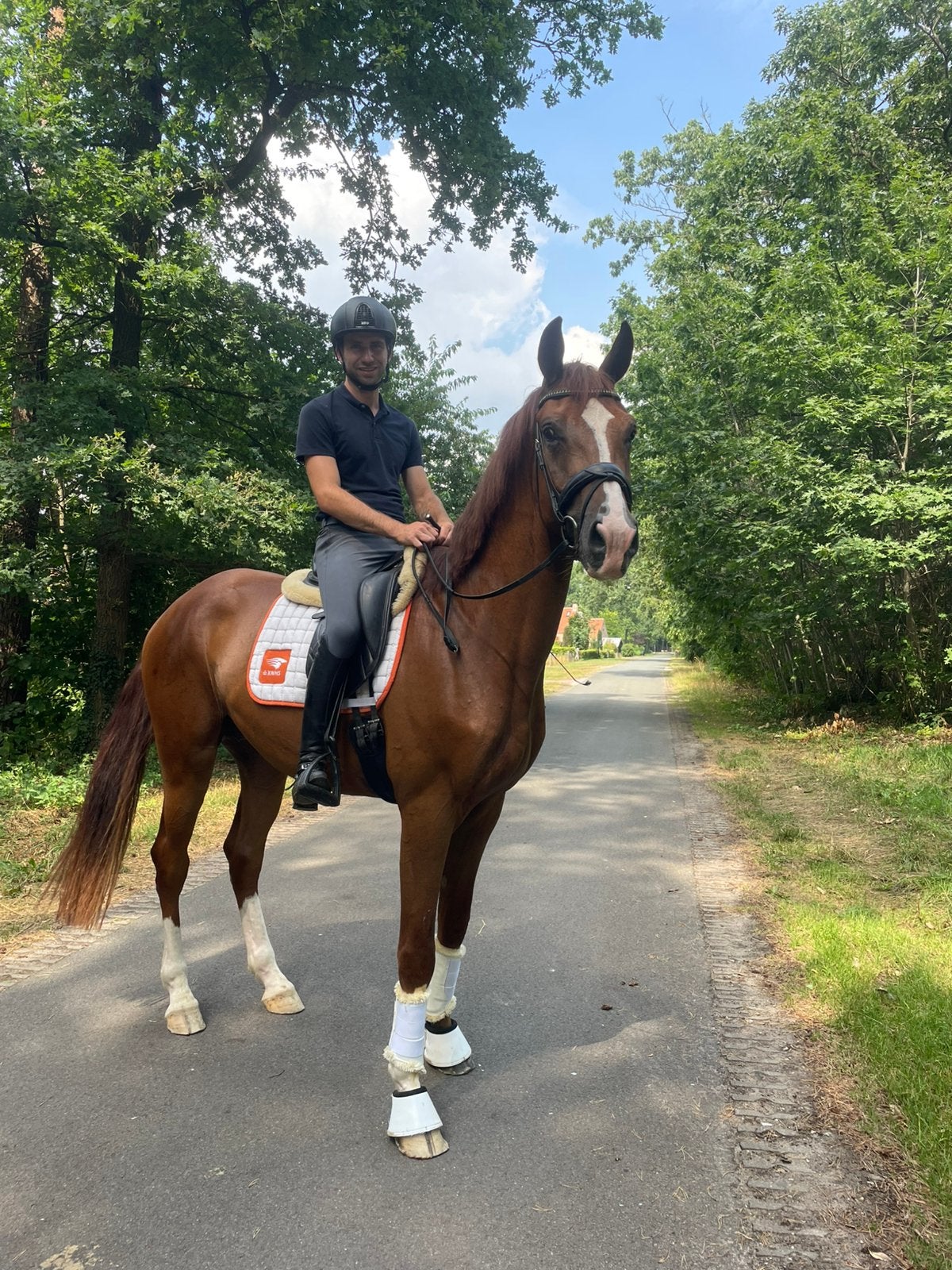 Super lieve 3 jarige ruin, Met stamboom, Ruin, Dressuurpaard, 170 tot 175 cm