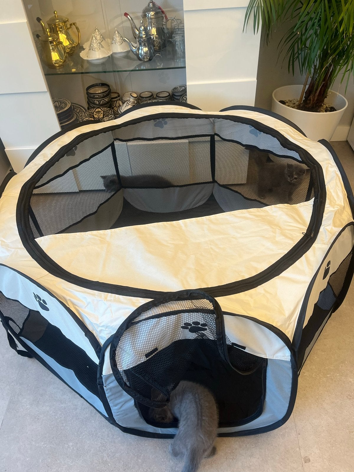 Ren voor de jonge kittens, Ophalen of Verzenden, Zo goed als nieuw