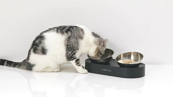 Cybertail Petkit voederbak kom rvs, Dieren en Toebehoren, Ophalen of Verzenden, Ergonomisch, Zo goed als nieuw