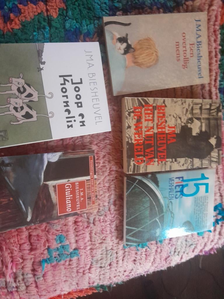 5 gesigneerde werken van J.M.A Biesheuvel, Ophalen of Verzenden, Zo goed als nieuw