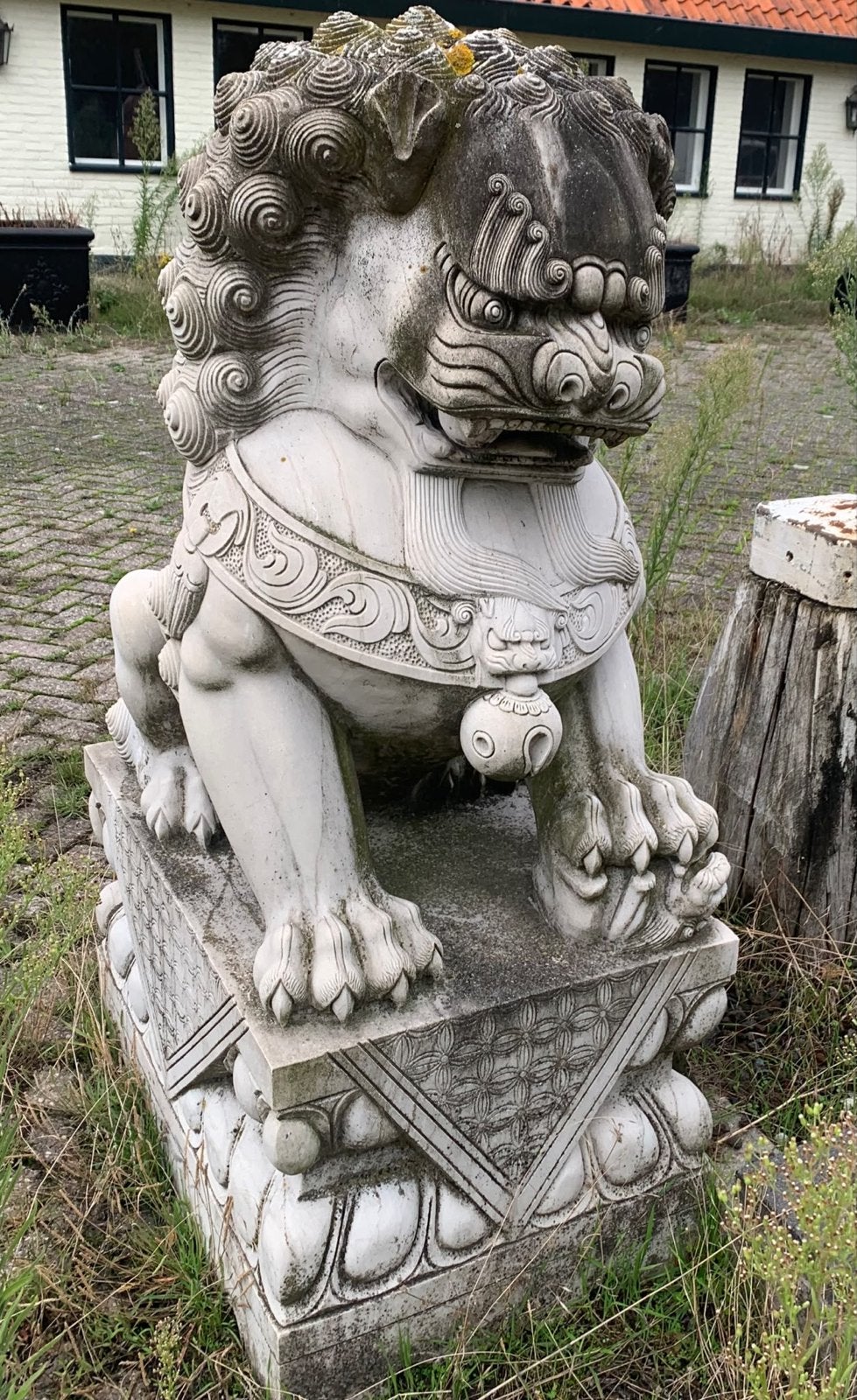 2 stuks - Groot Chinees Foo Dog Beeld - Tuinornament, Ophalen