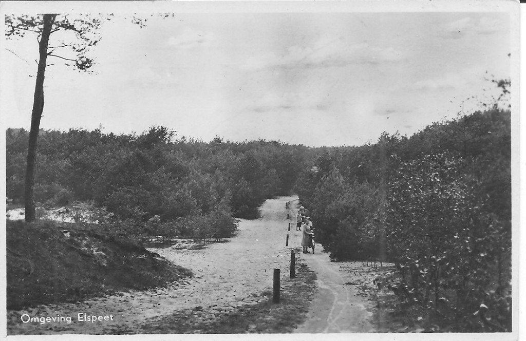 Oude Ansichtkaart Elspeet - Omgeving, Verzamelen, Ophalen of Verzenden, 1940 tot 1960, Gelopen, Gelderland