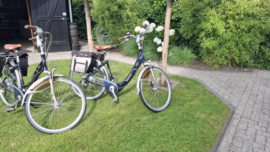 Sparta ION m-gear, Ophalen, Zo goed als nieuw, Minder dan 30 km per accu, Sparta