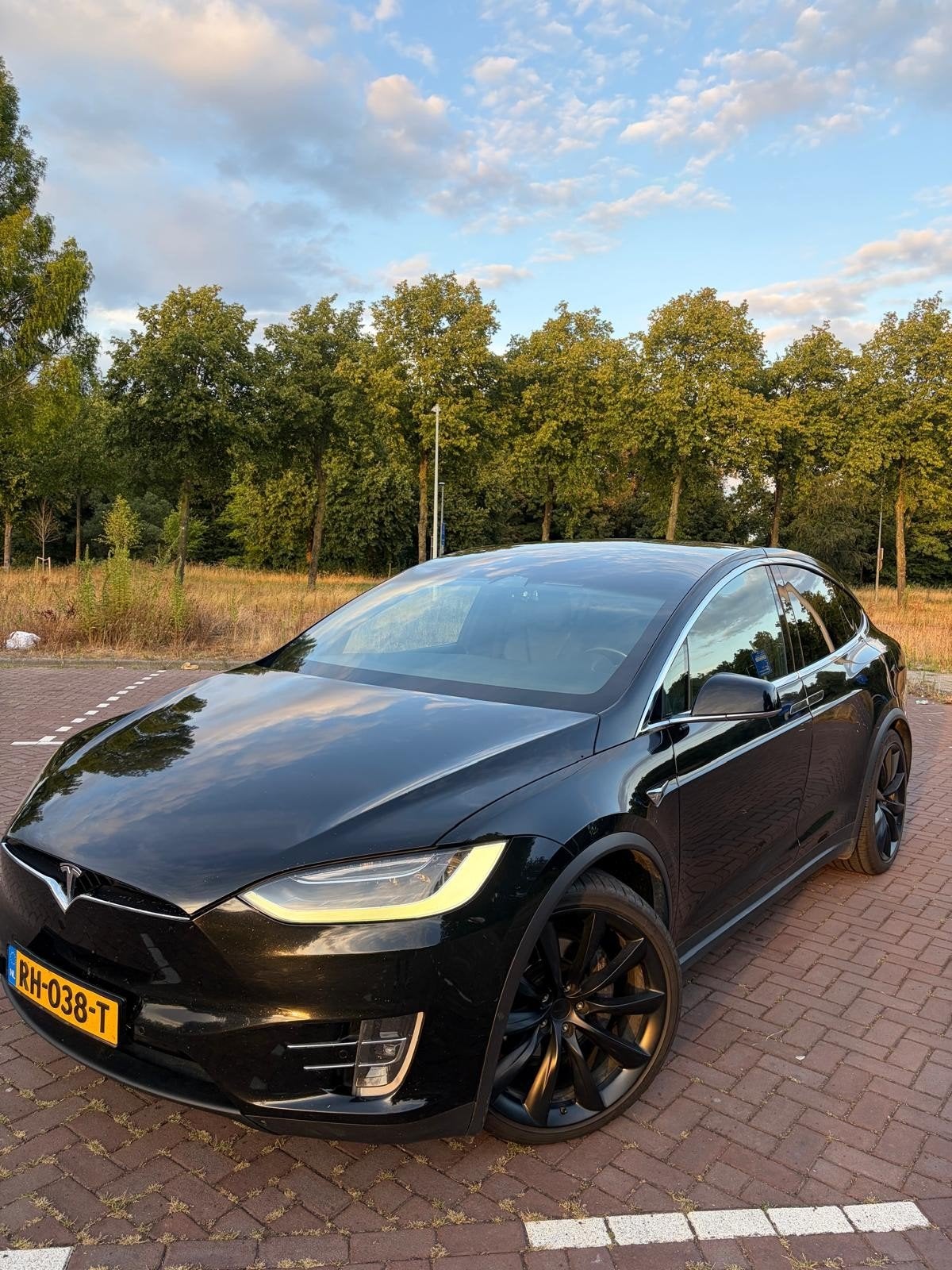 Tesla model x 100D all wheel drive 7 persoon trekhaak!!, Particulier, Te koop