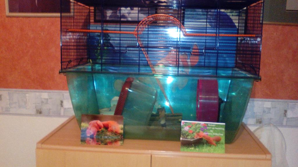 Gerbil-hamsterkooi, Ophalen, Kooi, 60 tot 90 cm, Minder dan 75 cm
