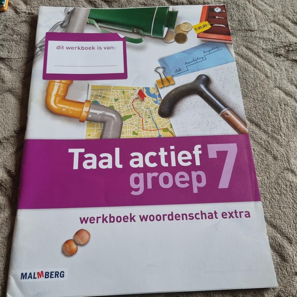Groep 7 - Taal actief werkboek woordenschat extra, Ophalen of Verzenden, Nieuw