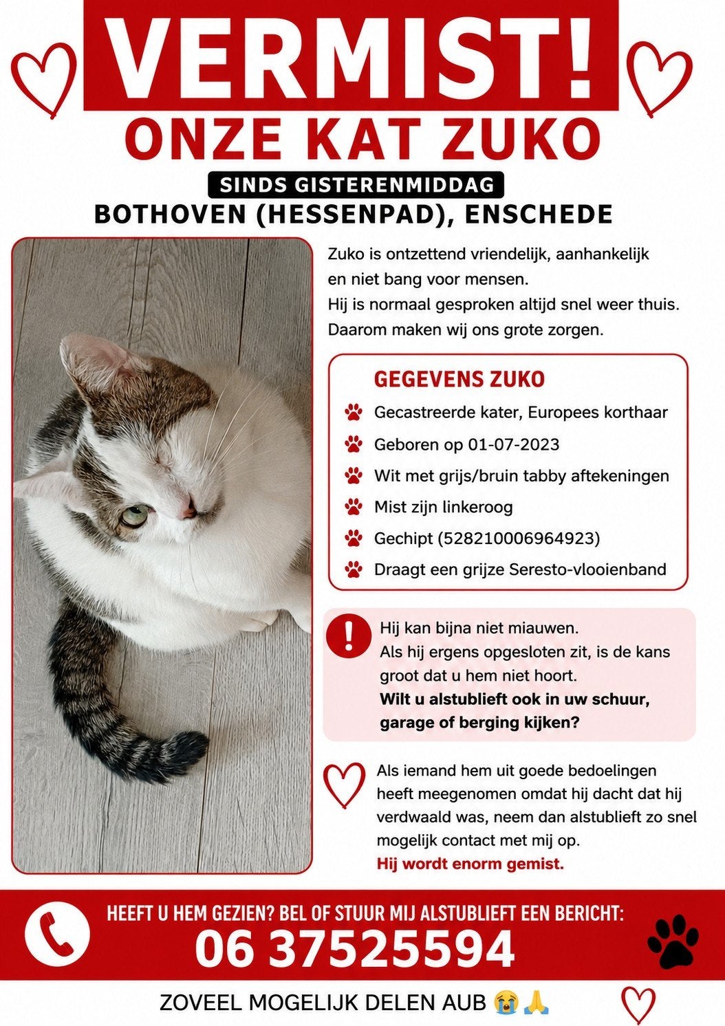 VERMIST – ZUKO 
 Bothoven, Kat