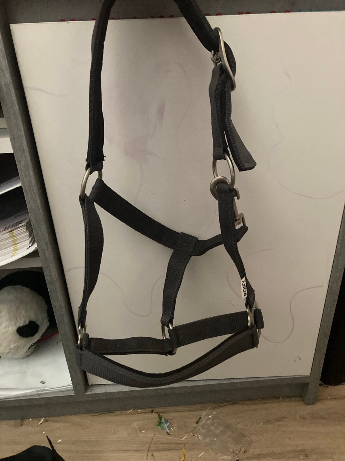 Halster maat pony, Ophalen of Verzenden, Nieuw, Overige soorten
