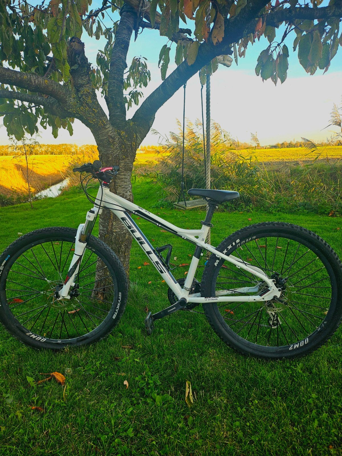 Bulls mountainbike, Ophalen, Gebruikt, Schijfrem, Overige merken