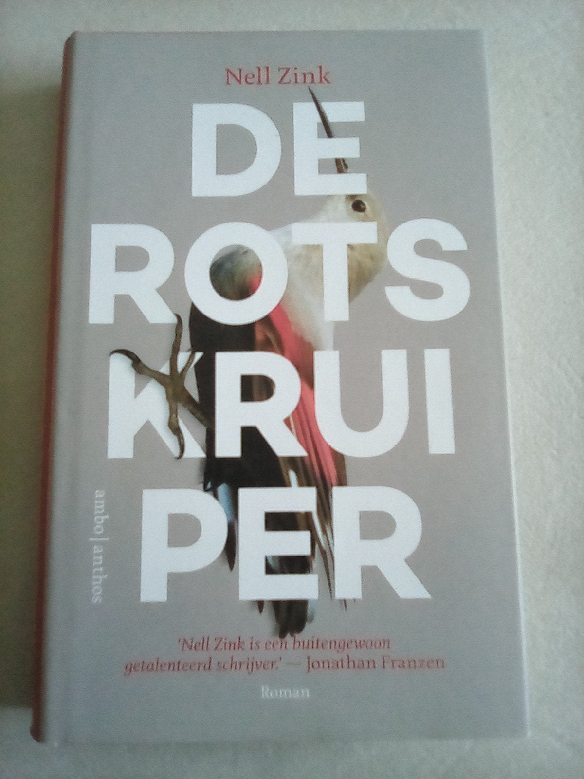 De Rotskruiper - Nell Zink, Ophalen of Verzenden, Zo goed als nieuw