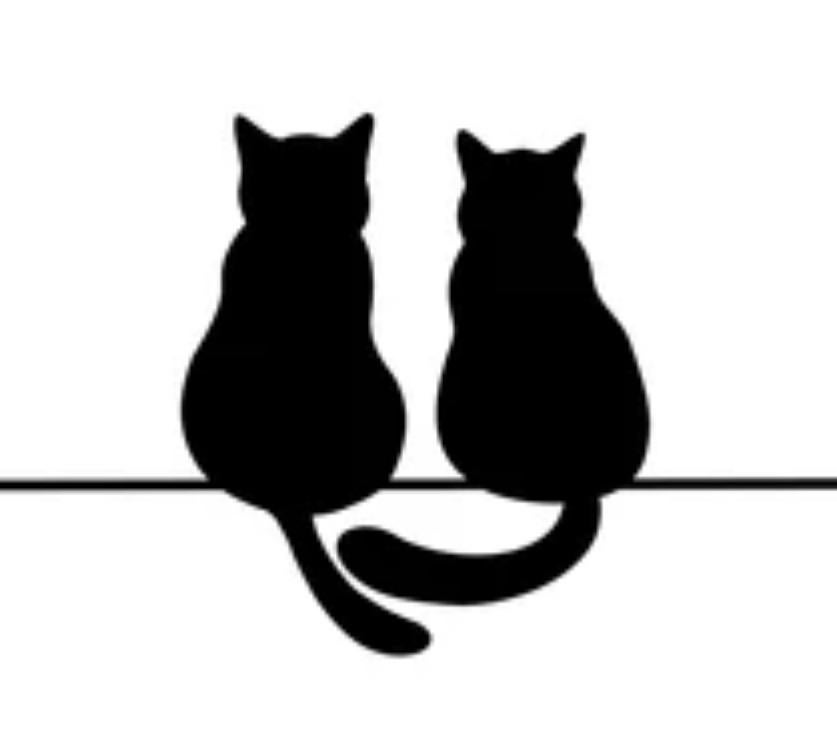 GEZOCHT!! 2 lieve kittens/katten, Dieren en Toebehoren, Geslacht onbekend