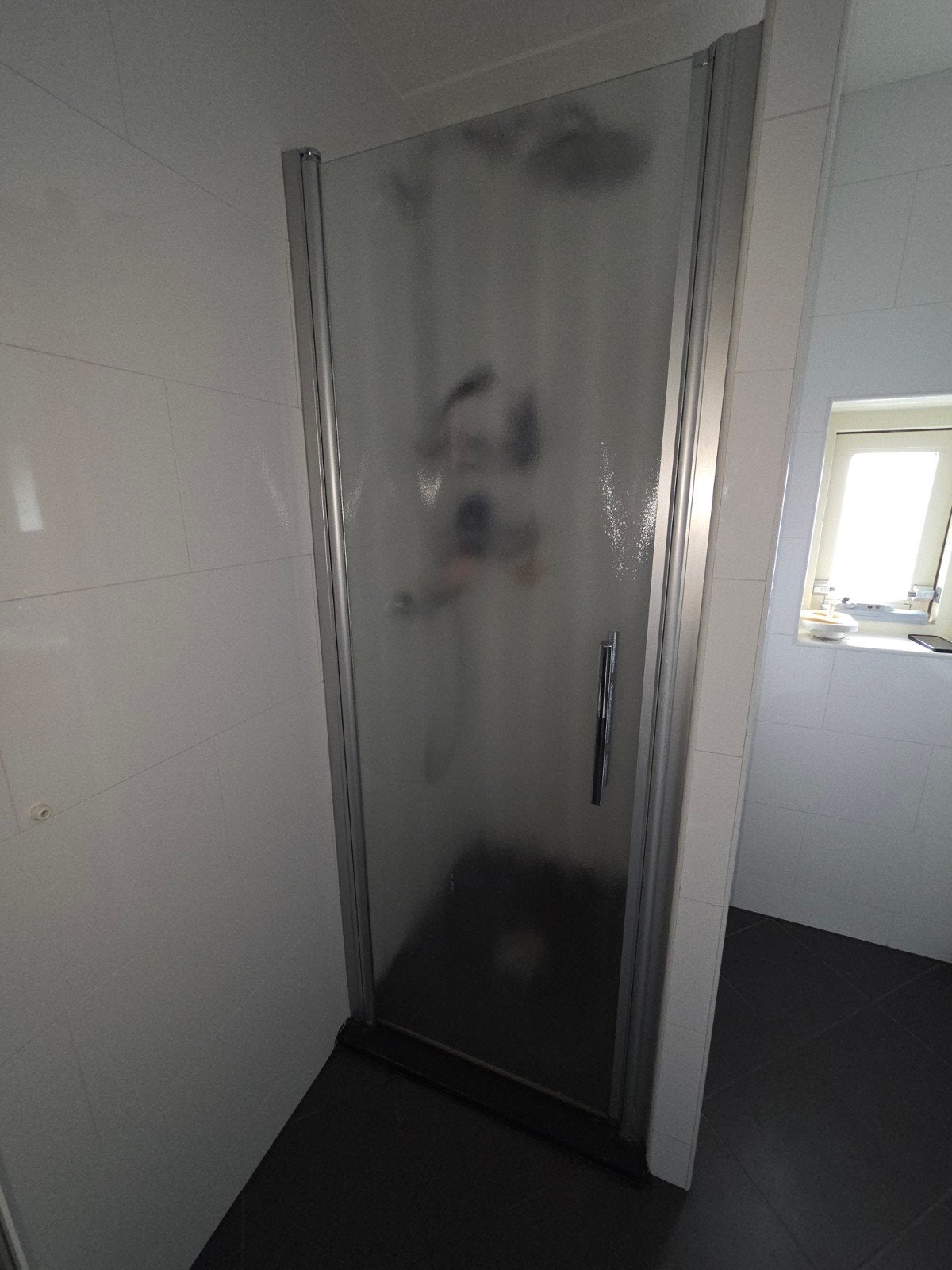 Gratis Douchedeur/nisdeur, Huis en Inrichting, Ophalen, Gebruikt