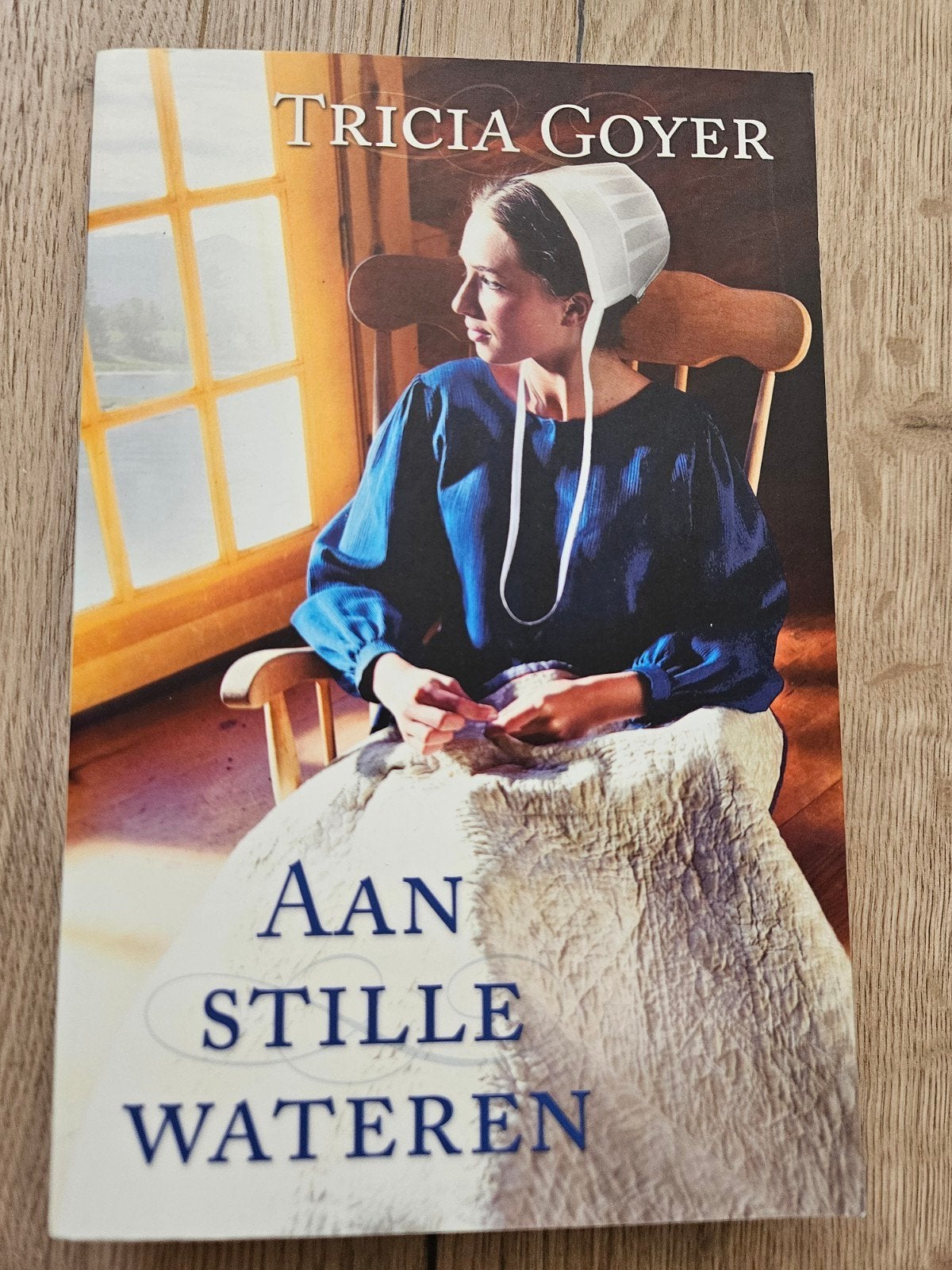 Tricia Goyer - Aan Stille Wateren (Roman), Boeken, Romans, Ophalen of Verzenden, Zo goed als nieuw, Tricia Goyer, Amerika