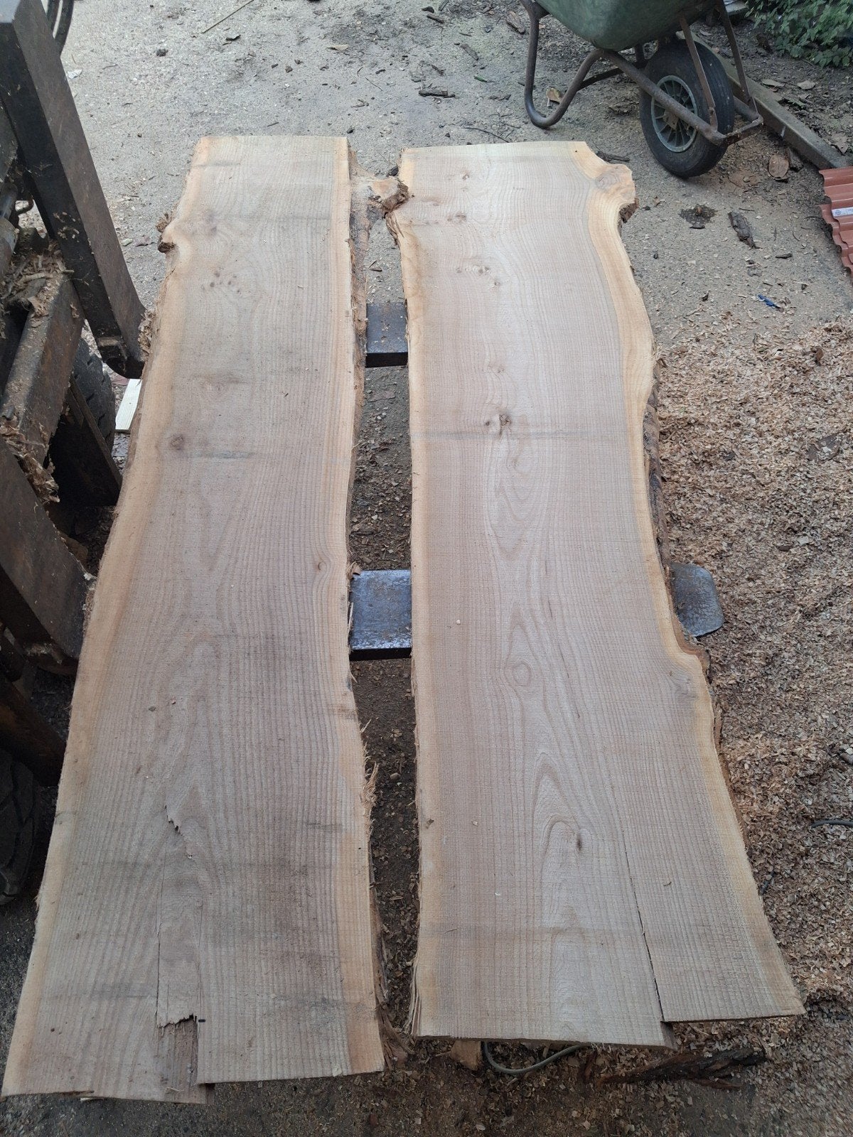 iepen schaaldelen oven gedroogd 25 mm, Ophalen, Minder dan 25 mm, Nieuw, Plank
