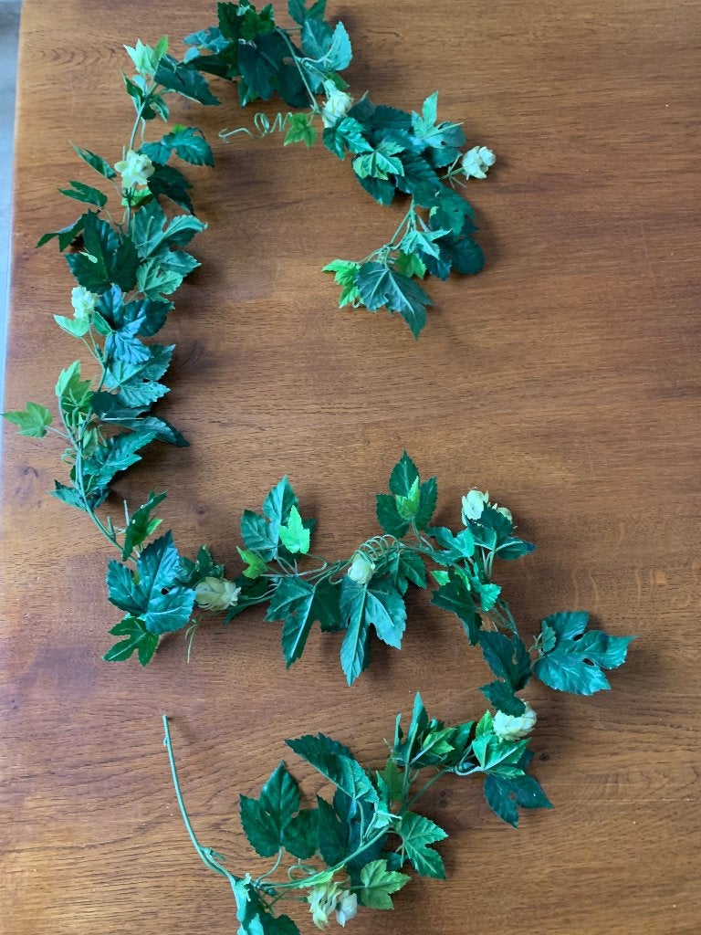 Slinger met Blaadjes en "Hopbloemen" Nieuw, Ophalen of Verzenden, Halfschaduw, Minder dan 100 cm