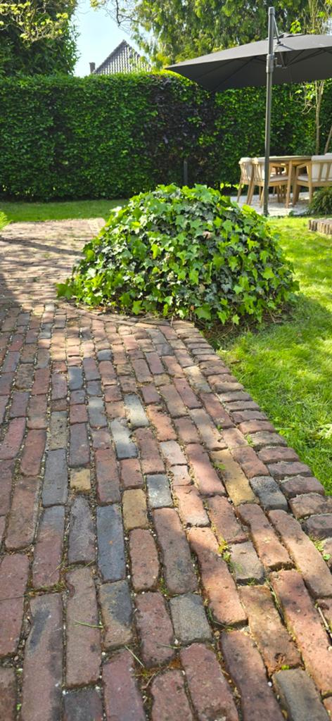 Oude Waaltjes ca. 7m2, Ophalen, Gebruikt, Klinkers