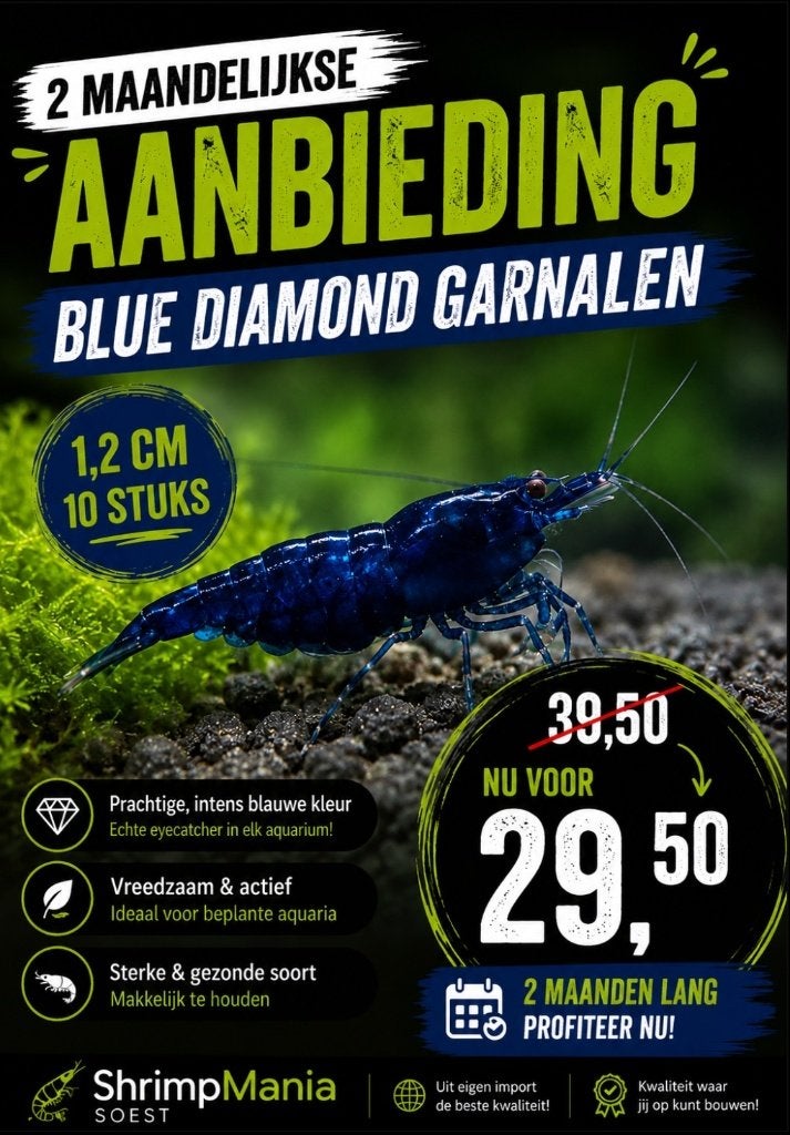 2 Maandelijkse aanbieding Blue Diamond garnalen, Kreeft, Krab of Garnaal, Zoetwatervis, Schoolvis