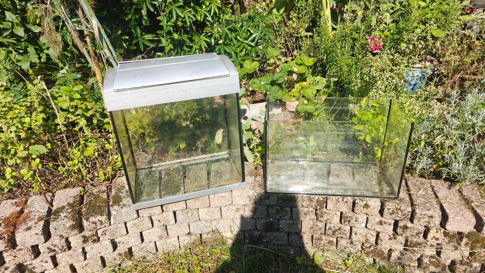 aquariums en toebehoren, Dieren en Toebehoren, Vissen | Aquaria en Toebehoren, Ophalen of Verzenden
