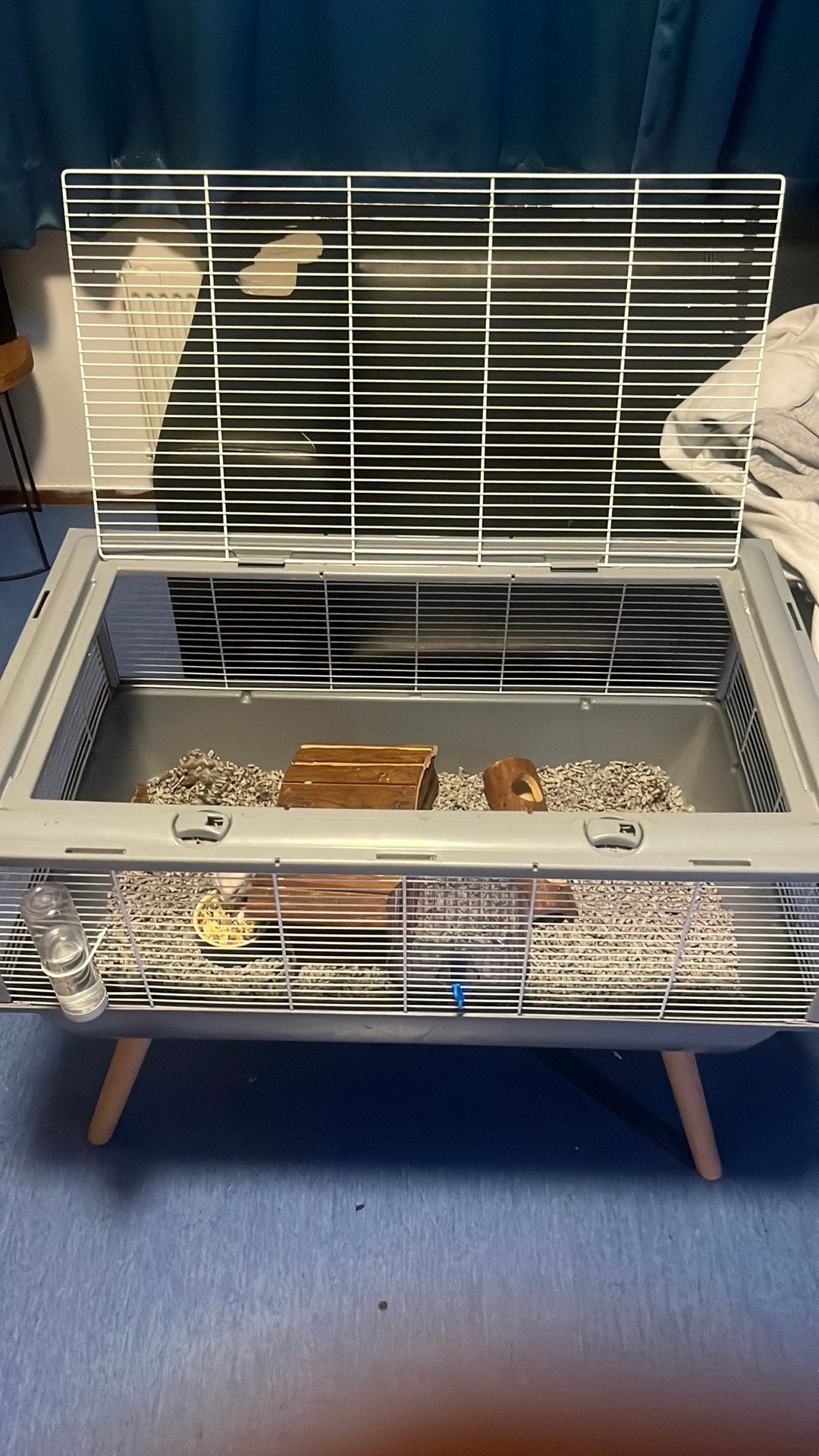 Hamster kooi met hamster zelf en toebehoren, Kooi, Minder dan 75 cm, Zo goed als nieuw, Hamster