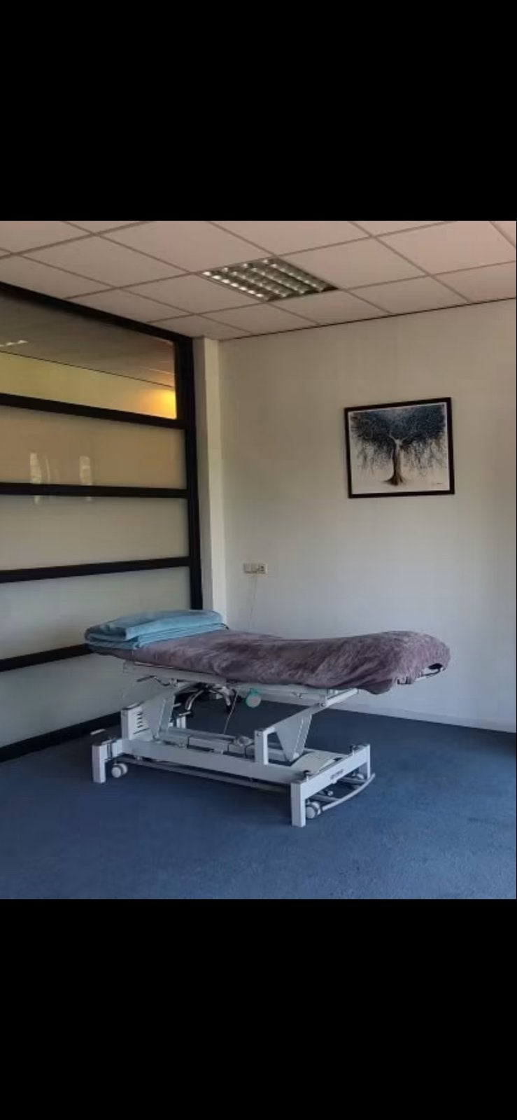 Elektrische Gymna Massagetafel - Goede ondersteuning, Ophalen, Gebruikt, Massagetafel