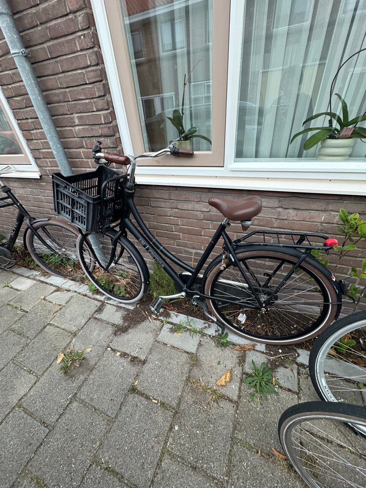 Cortina U4 fiets met voordrager en mand, Overige merken, Terugtraprem, Versnellingen, Ophalen of Verzenden