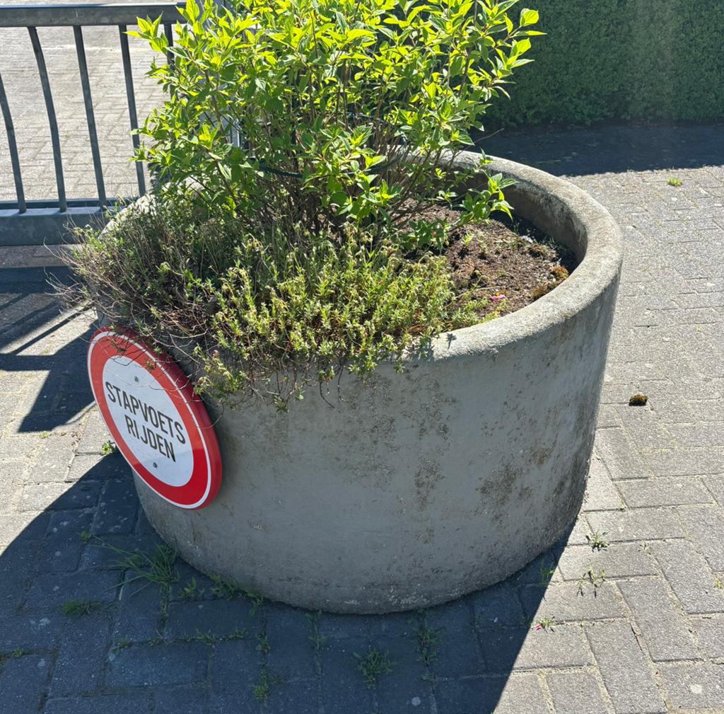 Betonnen plantenbakken, Tuin en Terras, Ophalen, Gebruikt, Rond, Beton
