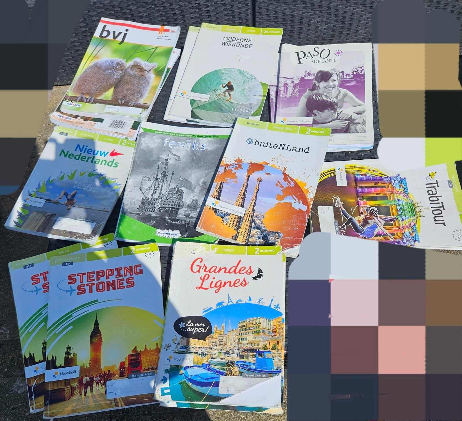 Diverse schoolboeken middelbare school 2e klas (HAVO/VWO), Gelezen, HAVO, Diverse auteurs, Ophalen of Verzenden