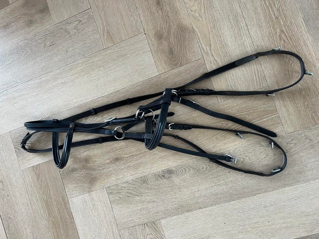 Bitloos hoofstel, Ophalen of Verzenden, Gebruikt