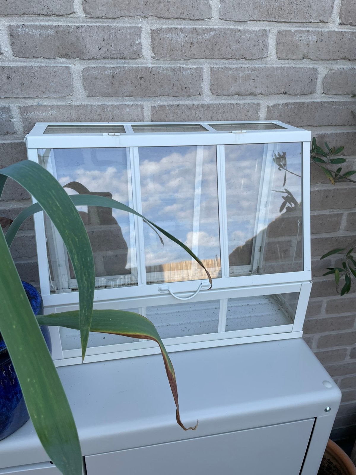 Akerbar kweekkas Ikea, Tuin en Terras, Ophalen, Glas, Zo goed als nieuw