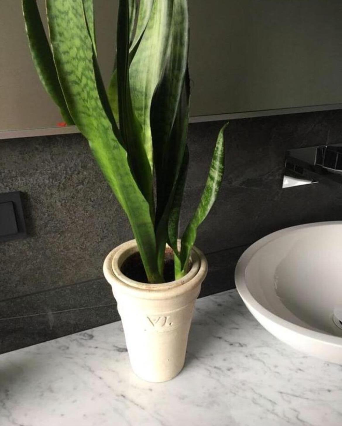 Crèmekleurige beige terracotta bloempot met Romeinse cijfers, Ophalen, Gebruikt, Rond, Binnen