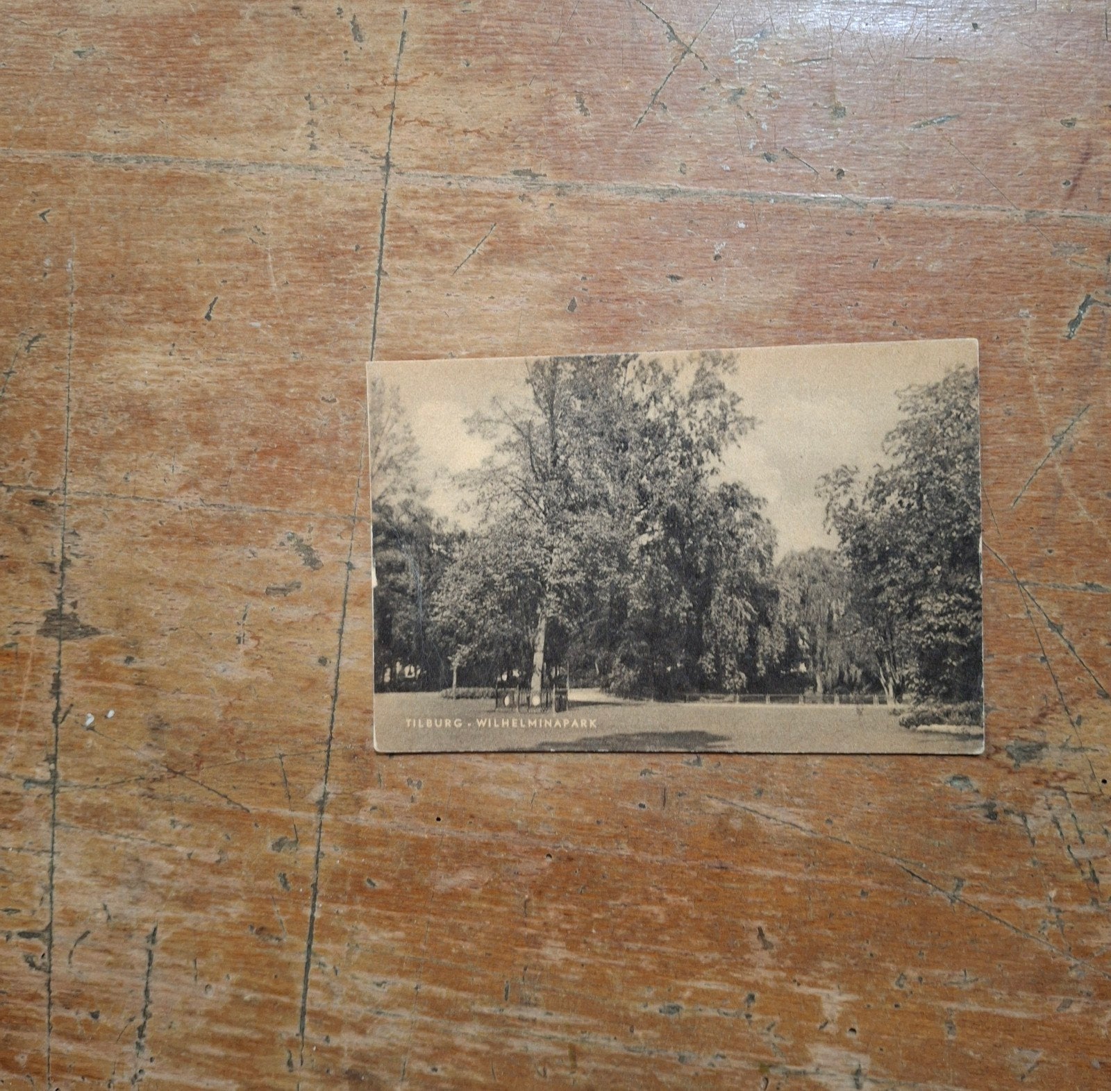 Oude Ansichtkaart Tilburg - Wilhelminapark, Verzamelen, Ophalen of Verzenden, Voor 1920, Ongelopen, Noord-Brabant