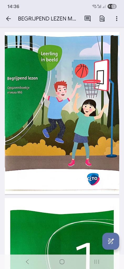Cito Toetsen Groepen 4,5,6,7,8 M/E, Ophalen of Verzenden, Zo goed als nieuw, Overige niveaus, Nederlands