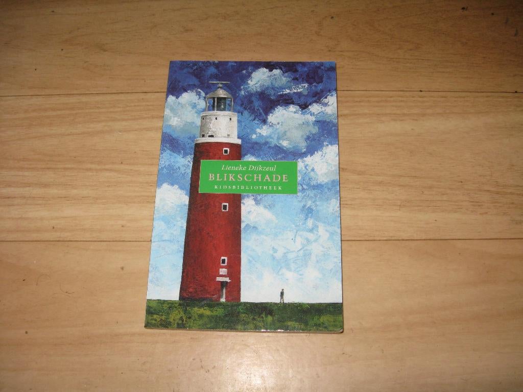 Lieneke Dijkzeul - Blikschade, Boeken, Ophalen of Verzenden, Gelezen