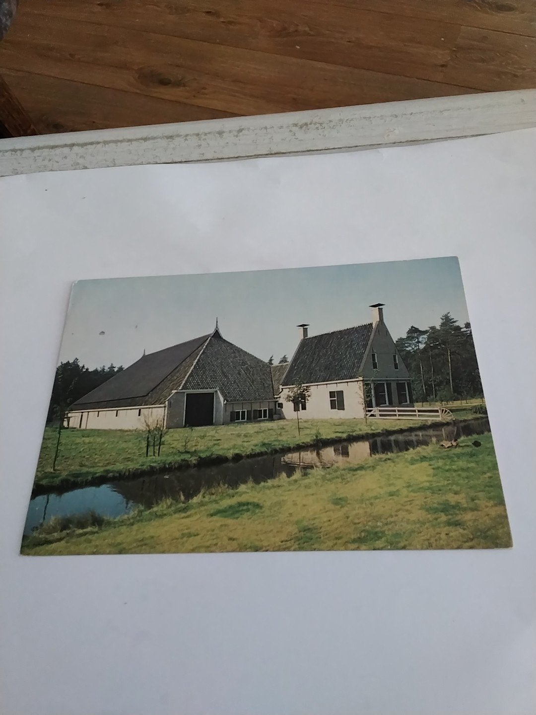 ansichtkaart: Kop-hals-romp-boerderij, Midlum Fr., Ophalen of Verzenden, Gelderland