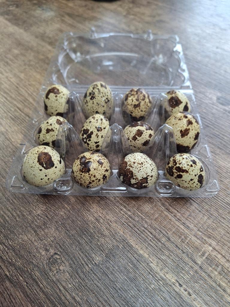 Kwartel eieren, Dieren en Toebehoren, Pluimvee, Geslacht onbekend, Overige soorten