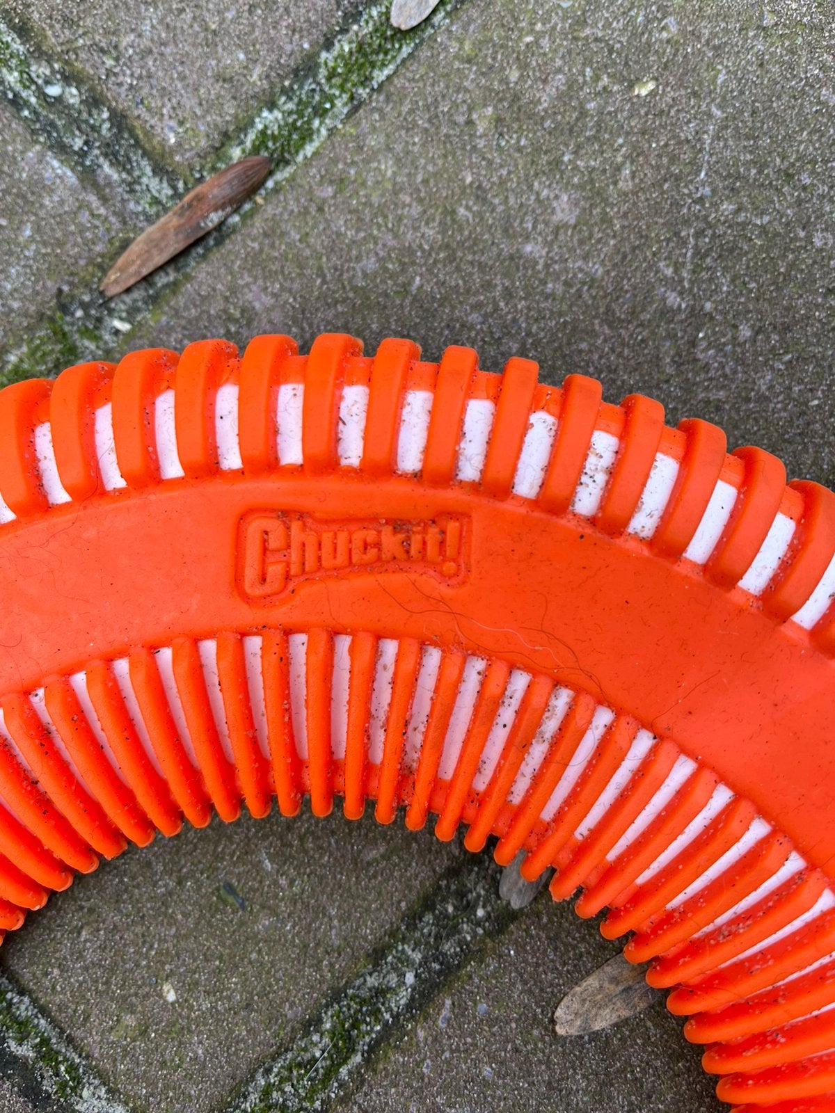 Chuck it frisbee hufter proof voor grotere honden, Ophalen of Verzenden, Zo goed als nieuw
