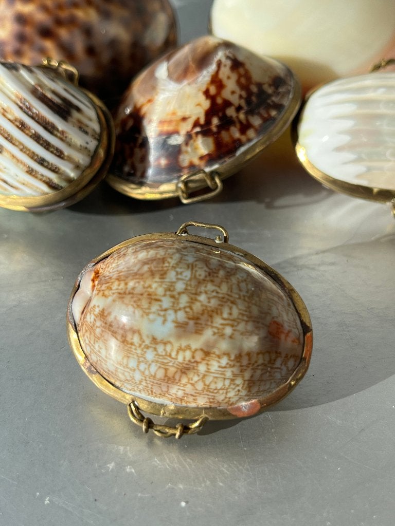 Klein doosje, gemaakt van een schelp, Ophalen of Verzenden