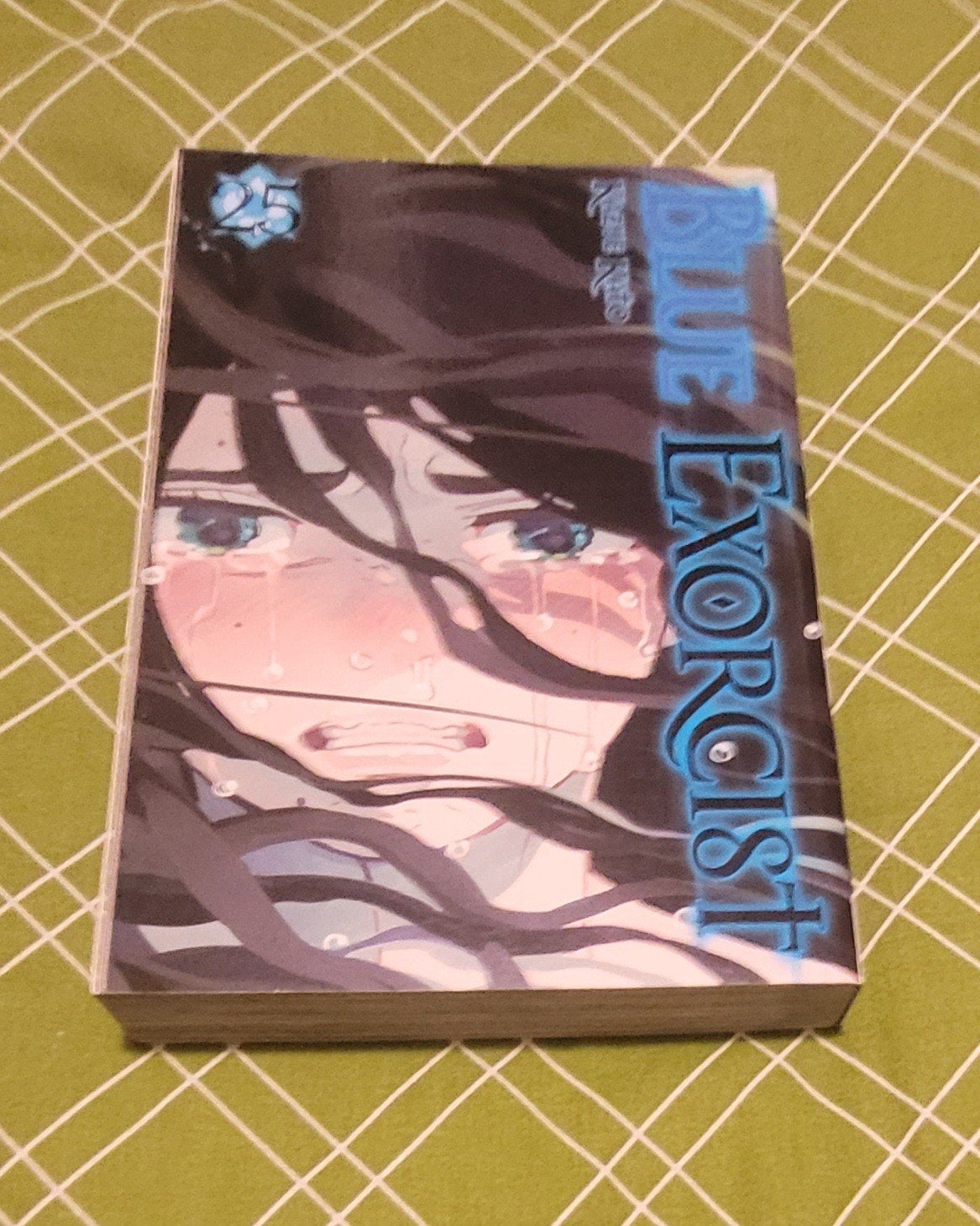 Manga Blue Exorcist vol. 25, Boeken, Gelezen, Ophalen of Verzenden, Japan (Manga), Meerdere comics