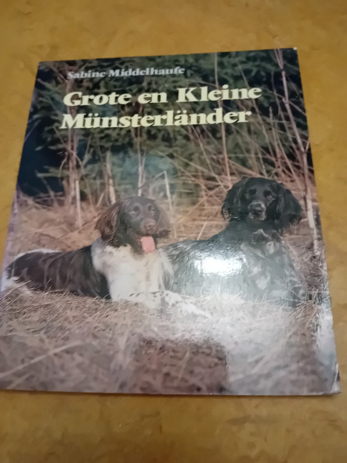 Grote en Kleine Münsterländer - Sabine Middelhaufe, Ophalen of Verzenden, Gelezen, Honden, Sabine Middelhaufe