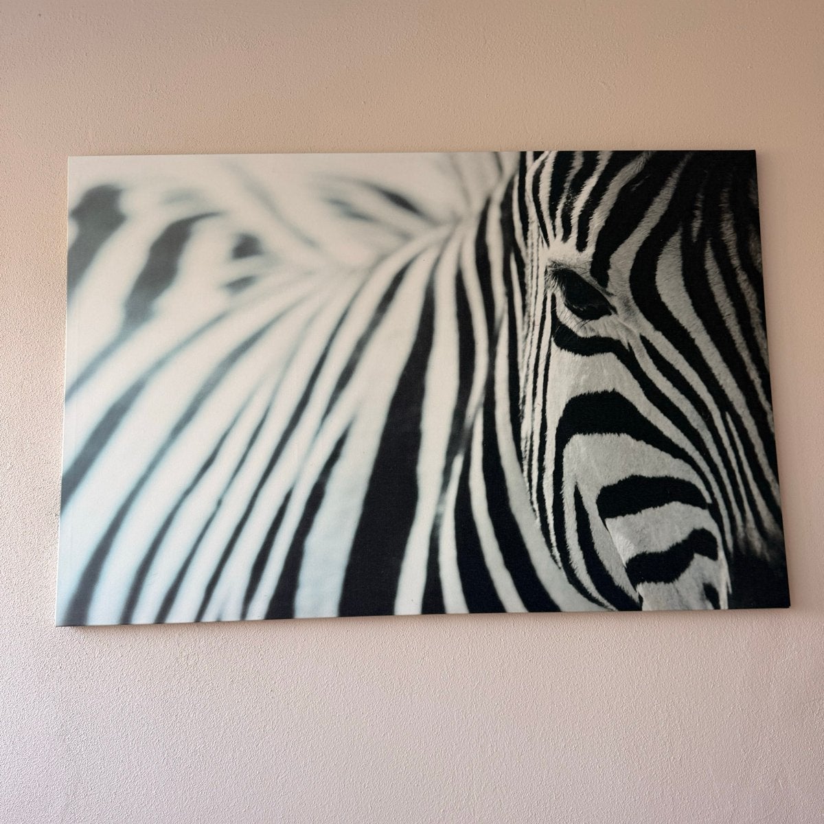 Zebra schilderij op canvas - zwart-wit, 50 – 75, Ophalen of Verzenden, Zo goed als nieuw, Schilderij