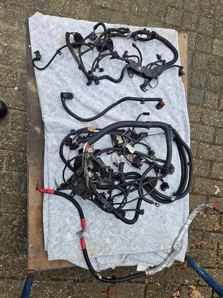 Complete kabelboom bmw N20 motorblok, Ophalen of Verzenden