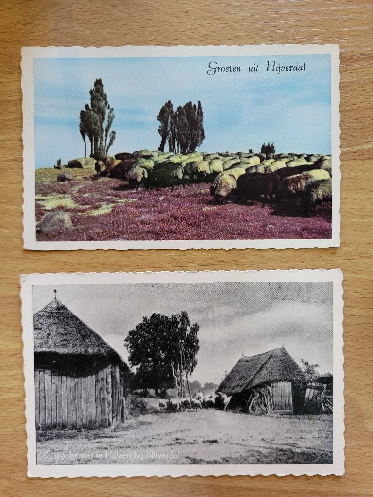 ansicht NIJVERDAL Hulzen schapen schaapsherder (2x), Verzenden, Voor 1920, Overijssel