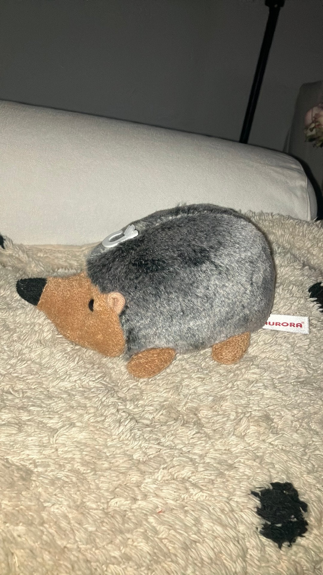 Aurora egel, Overige merken, Overige typen, Nieuw, Ophalen of Verzenden