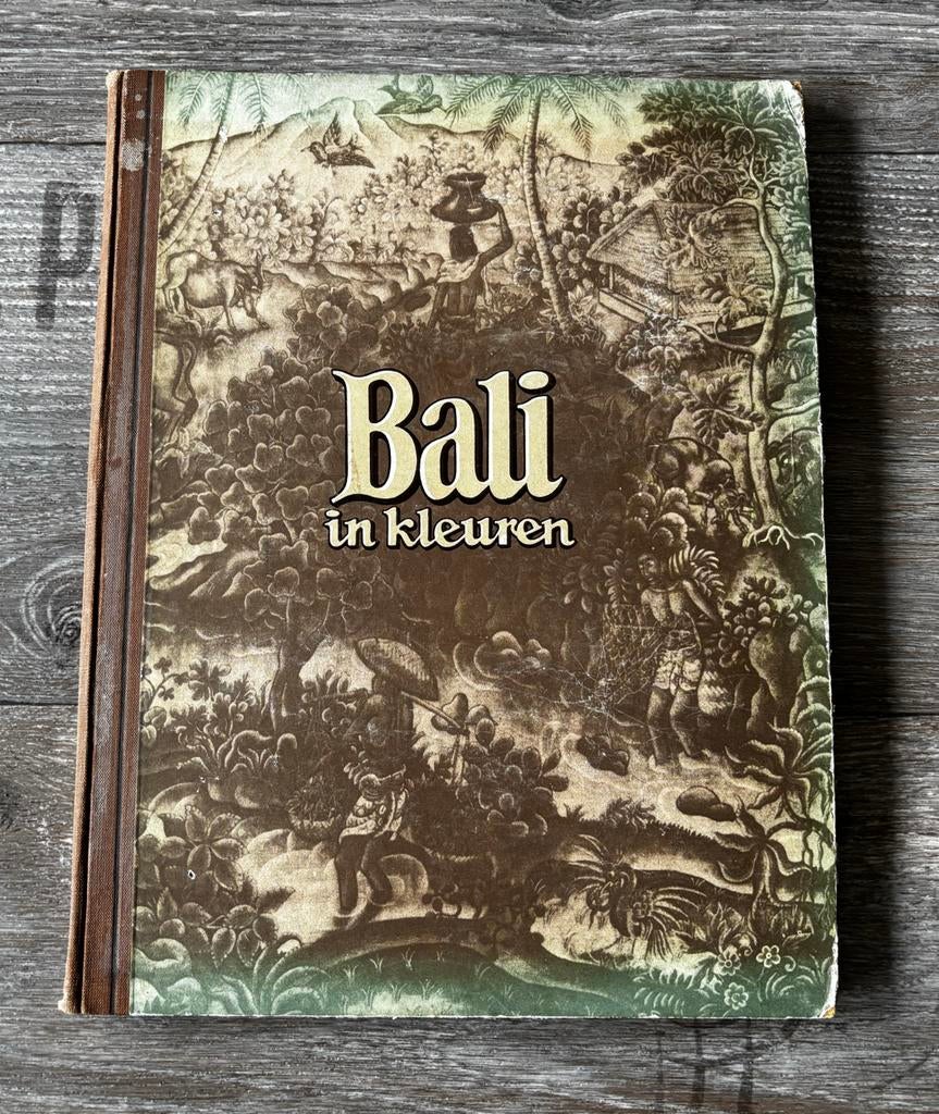 Bali in kleuren - Prachtig geïllustreerd vintage boek, Ophalen of Verzenden, Reisgids of -boek, Azië, Gelezen