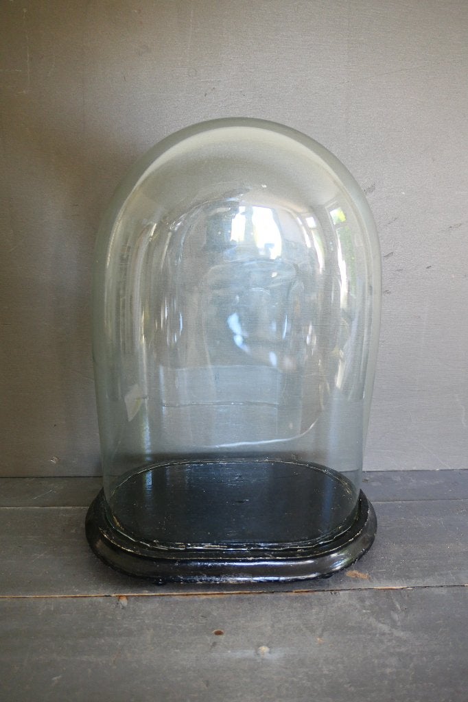 Antieke ovale glazen handgeblazen stolp, Glas, Ophalen, Zo goed als nieuw, Met plateau