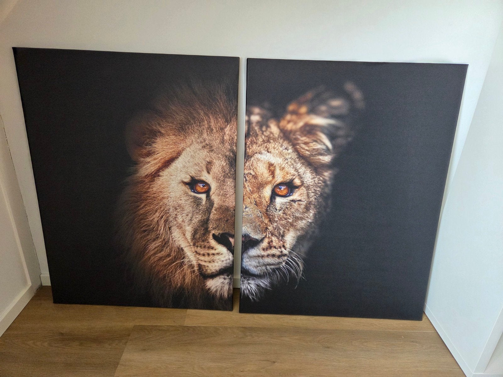 Tweedelig Canvas Schilderij Leeuw en Leeuwin 75 x 100 cm, Huis en Inrichting, Ophalen, Zo goed als nieuw, Schilderij, 75 tot 100 cm