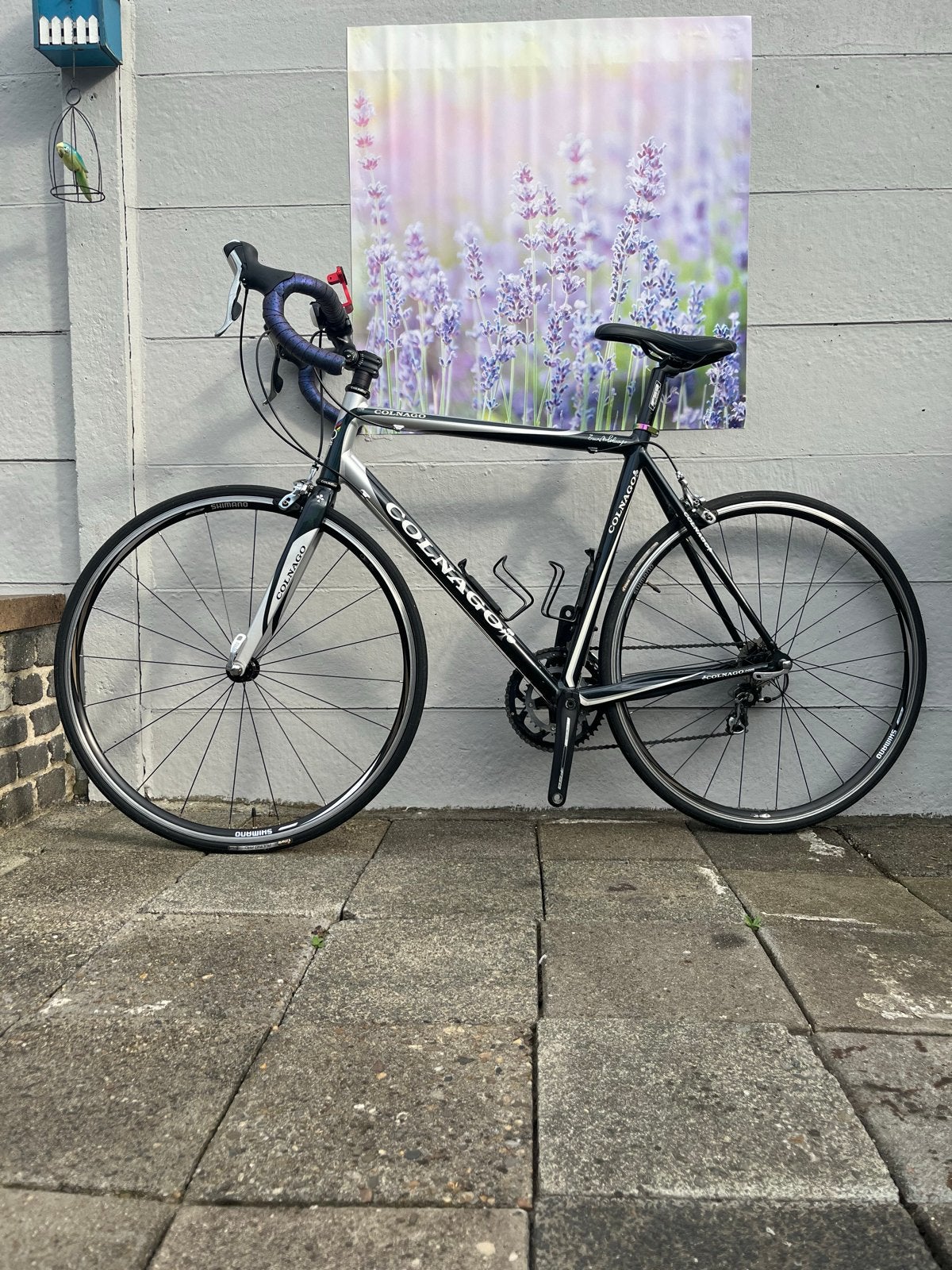 Colnago Primavera racefiets - Maat 55s, 28 inch, Gebruikt, Aluminium, 15 tot 20 versnellingen