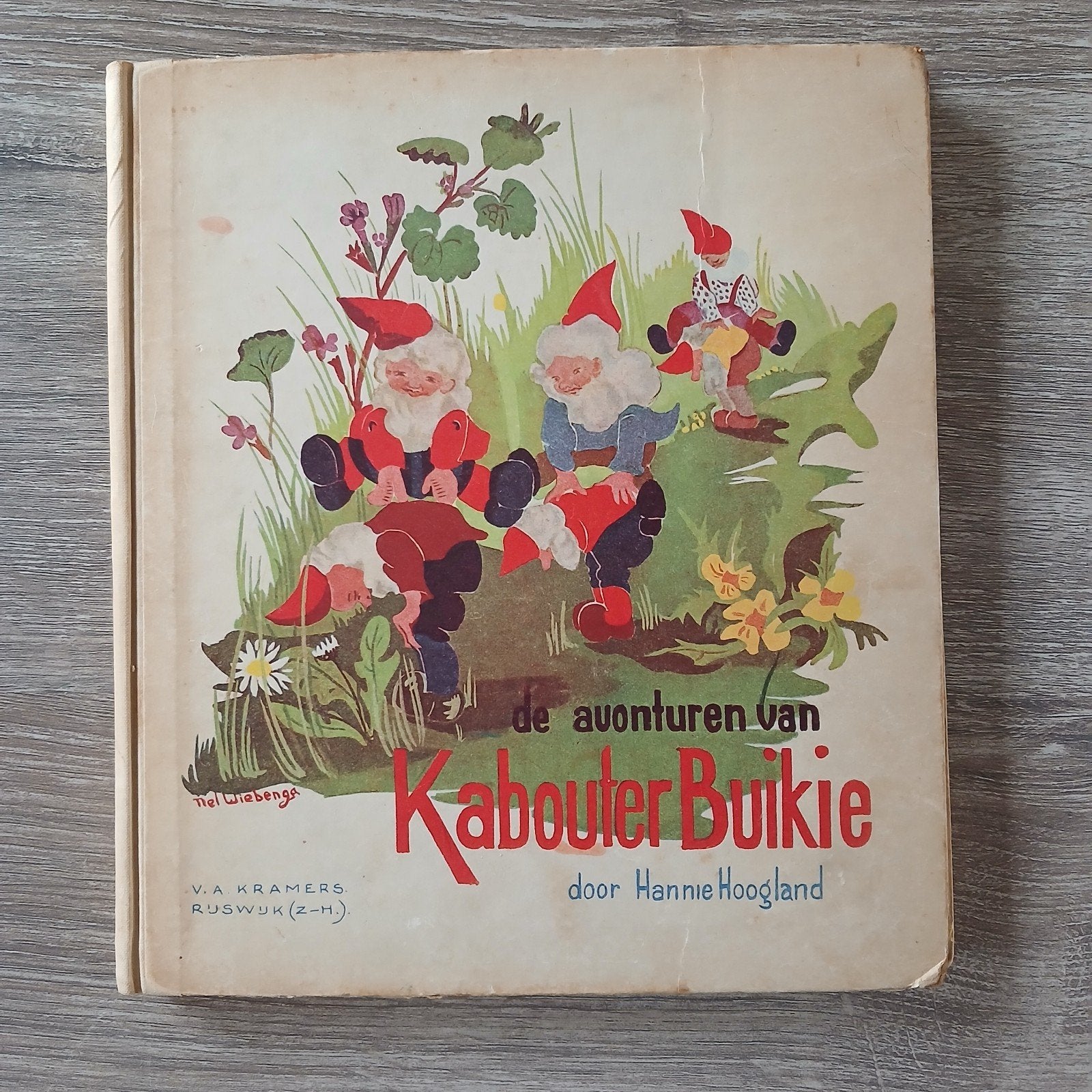 De Avonturen van Kabouter Buikie - Hanny Hoogland, Boeken, Ophalen of Verzenden, Gelezen, Hanny Hoogland, Sprookjes