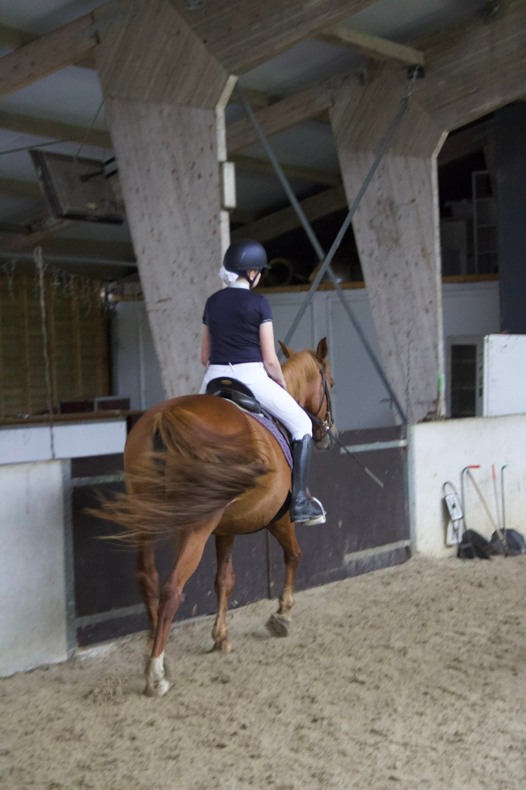 Bijrijd pony gezocht!, Ophalen, Nieuw